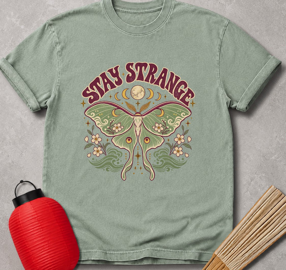 Bay